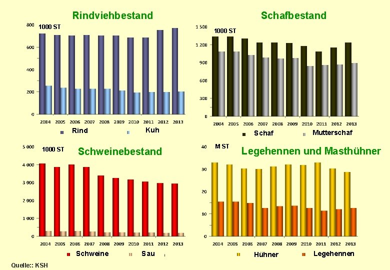 Rindviehbestand 1000 ST Rind 1000 ST Kuh Schweinebestand Schweine Quelle: : KSH Schafbestand Sau