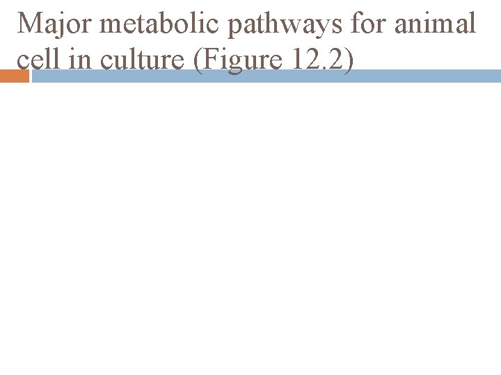 Major metabolic pathways for animal cell in culture (Figure 12. 2) 