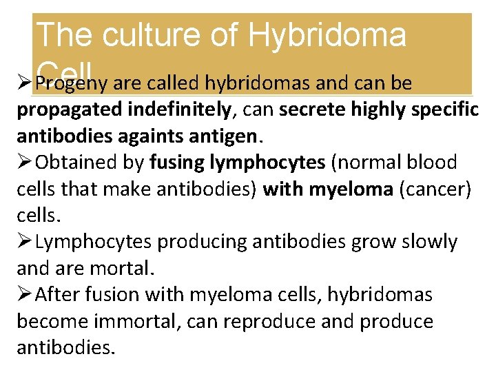 The culture of Hybridoma Cell are called hybridomas and can be ØProgeny propagated indefinitely,