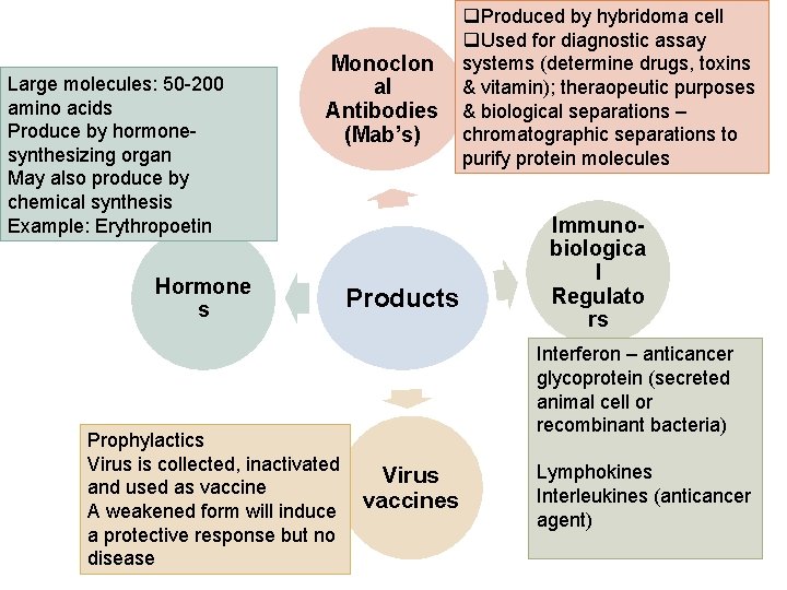Large molecules: 50 -200 amino acids Produce by hormonesynthesizing organ May also produce by