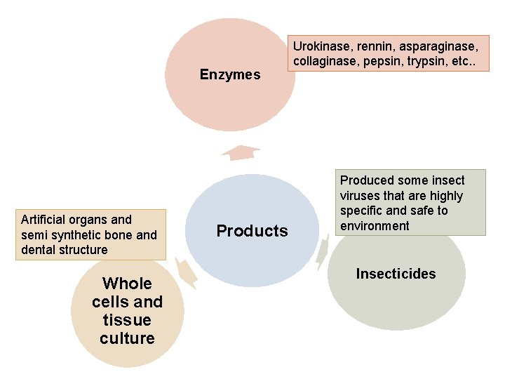 Enzymes Artificial organs and semi synthetic bone and dental structure Whole cells and tissue