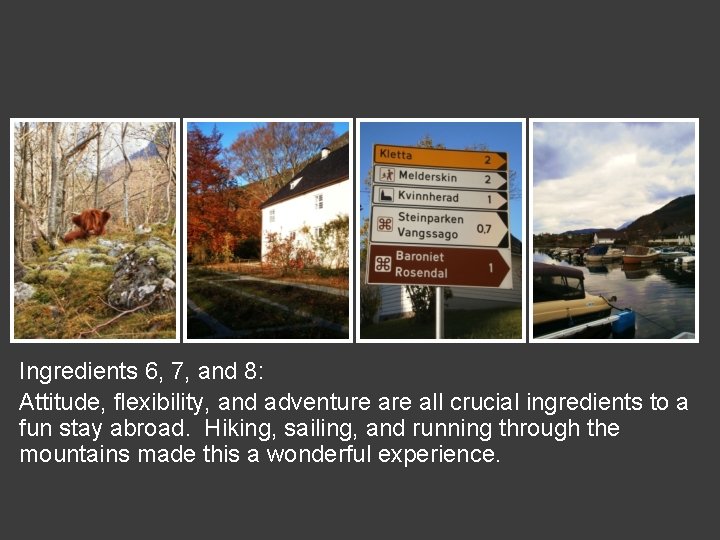 Ingredients 6, 7, and 8: Attitude, flexibility, and adventure all crucial ingredients to a