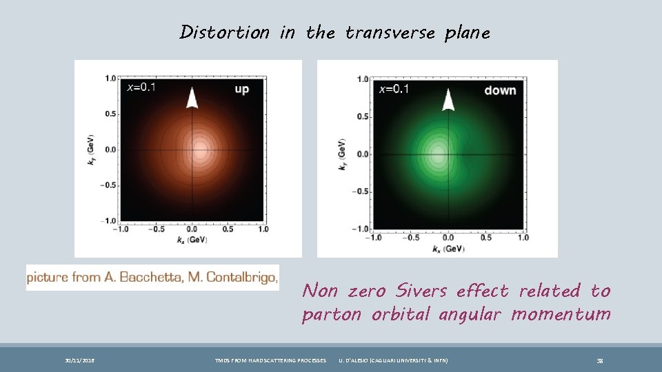 Distortion in the transverse plane Non zero Sivers effect related to parton orbital angular