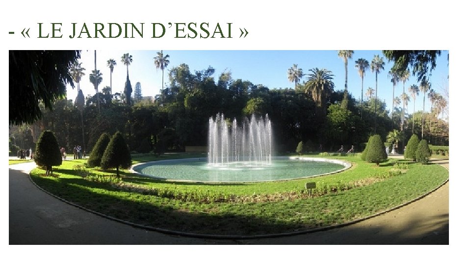 - « LE JARDIN D’ESSAI » 