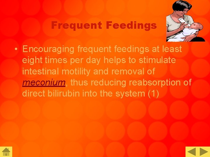Frequent Feedings • Encouraging frequent feedings at least eight times per day helps to