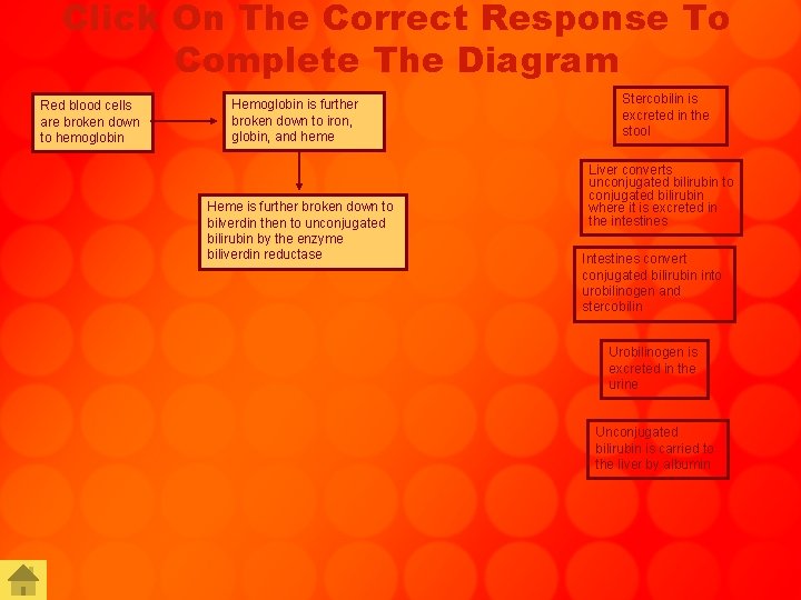 Click On The Correct Response To Complete The Diagram Red blood cells are broken