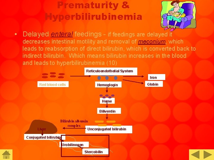 Prematurity & Hyperbilirubinemia • Delayed enteral feedings - if feedings are delayed it decreases