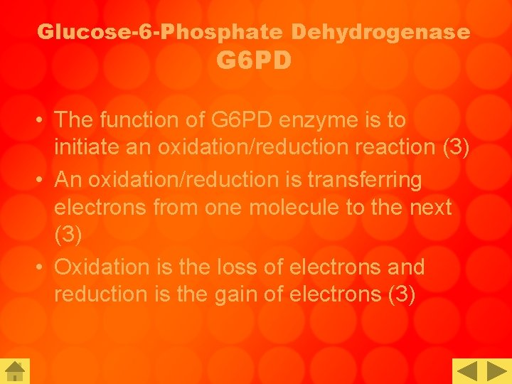 Glucose-6 -Phosphate Dehydrogenase G 6 PD • The function of G 6 PD enzyme