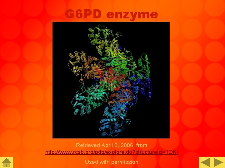 G 6 PD enzyme Retrieved April 8, 2006, from http: //www. rcsb. org/pdb/explore. do?
