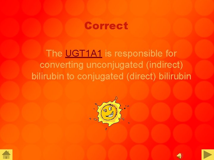 Correct The UGT 1 A 1 is responsible for converting unconjugated (indirect) bilirubin to