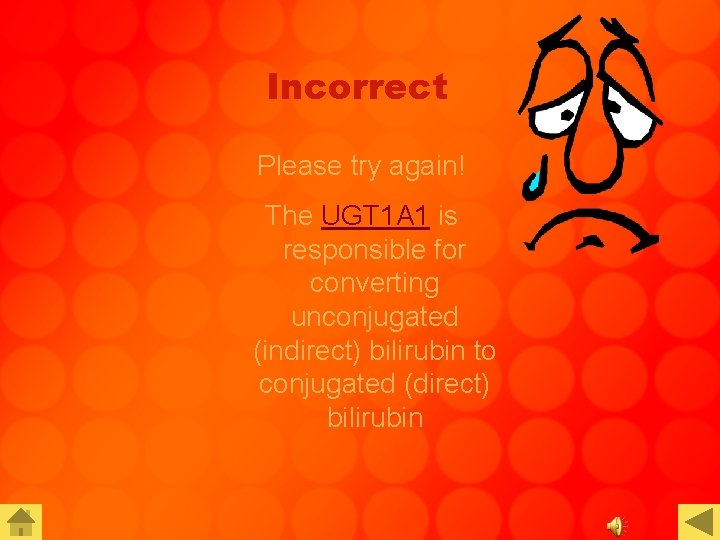 Incorrect Please try again! The UGT 1 A 1 is responsible for converting unconjugated