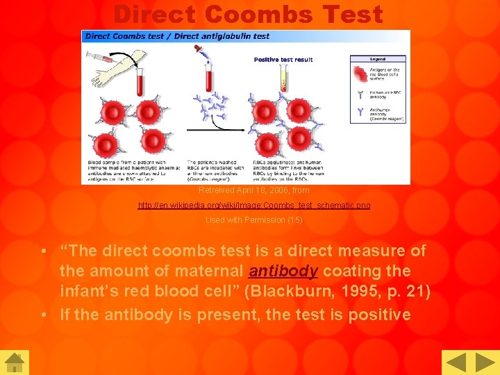 Direct Coombs Test Retreived April 18, 2006, from http: //en. wikipedia. org/wiki/Image: Coombs_test_schematic. png