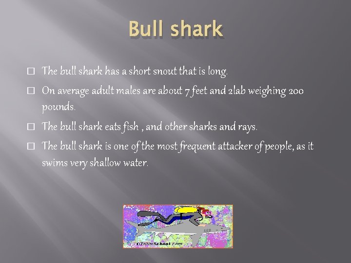 Bull shark � � The bull shark has a short snout that is long.