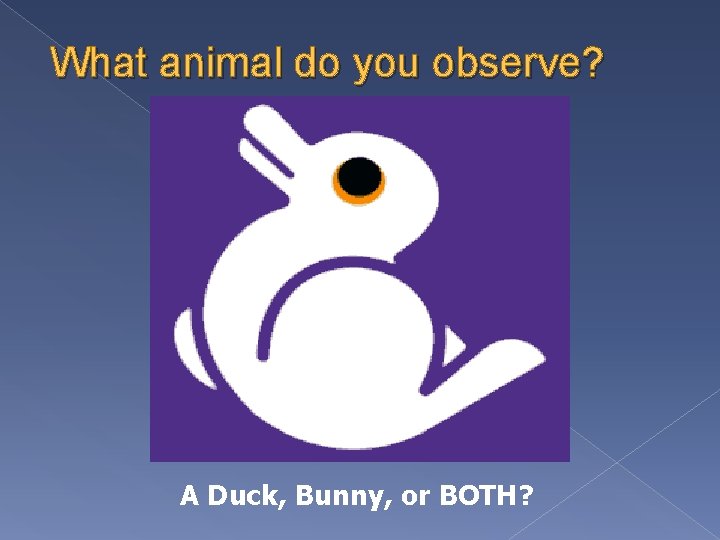 What animal do you observe? A Duck, Bunny, or BOTH? 