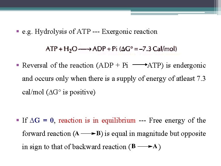 § e. g. Hydrolysis of ATP --- Exergonic reaction § Reversal of the reaction