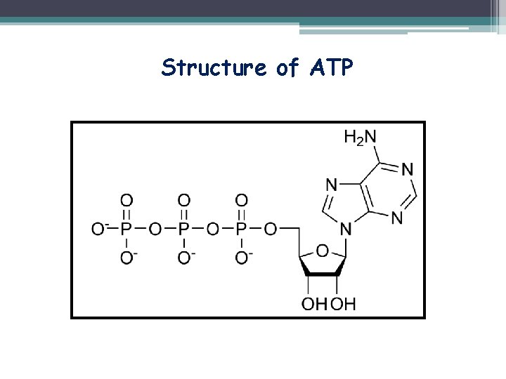 Structure of ATP 