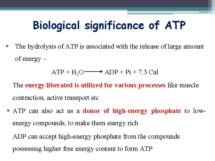 Biological significance of ATP § The hydrolysis of ATP is associated with the release