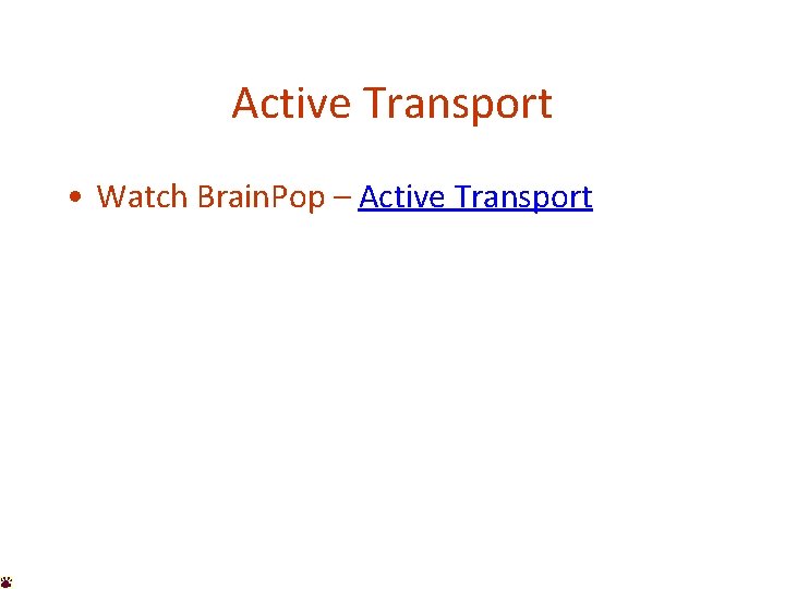 Active Transport • Watch Brain. Pop – Active Transport 