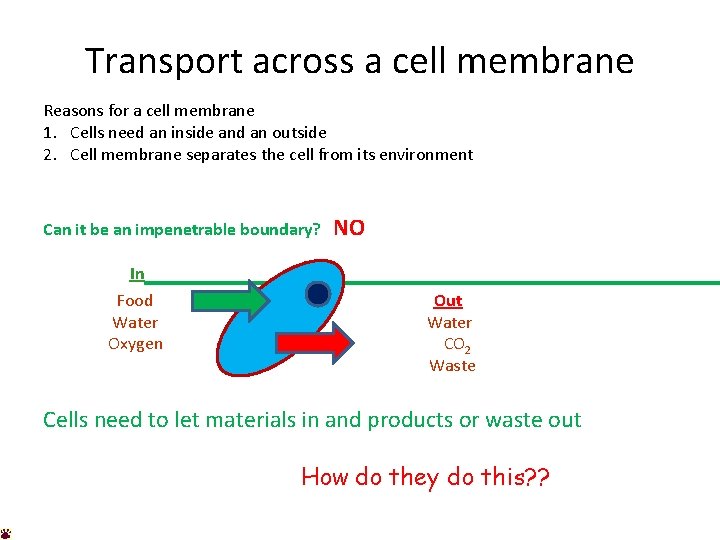 Transport across a cell membrane Reasons for a cell membrane 1. Cells need an