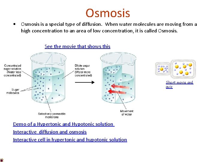 Osmosis • Osmosis is a special type of diffusion. When water molecules are moving