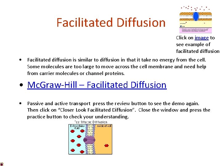 Facilitated Diffusion Click on image to see example of facilitated diffusion • Facilitated diffusion