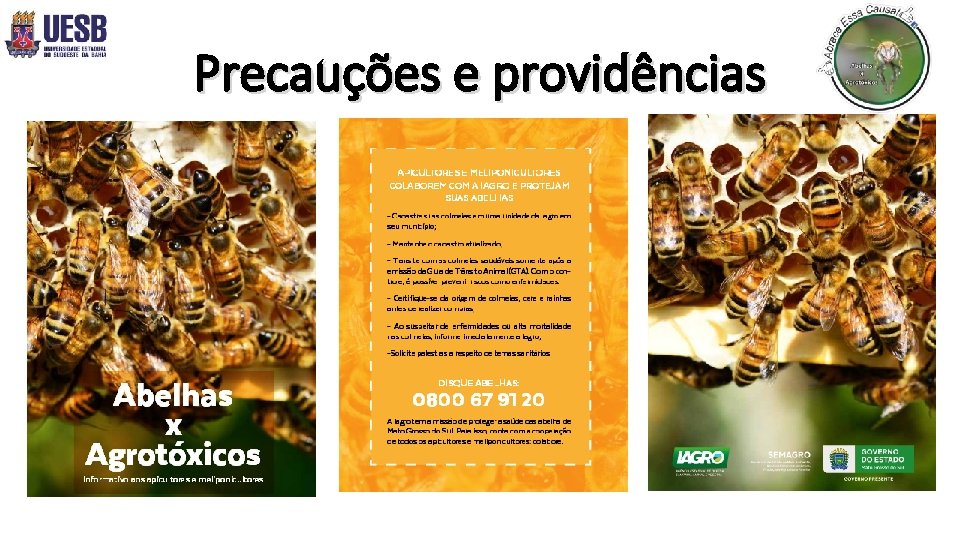 Precauções e providências 