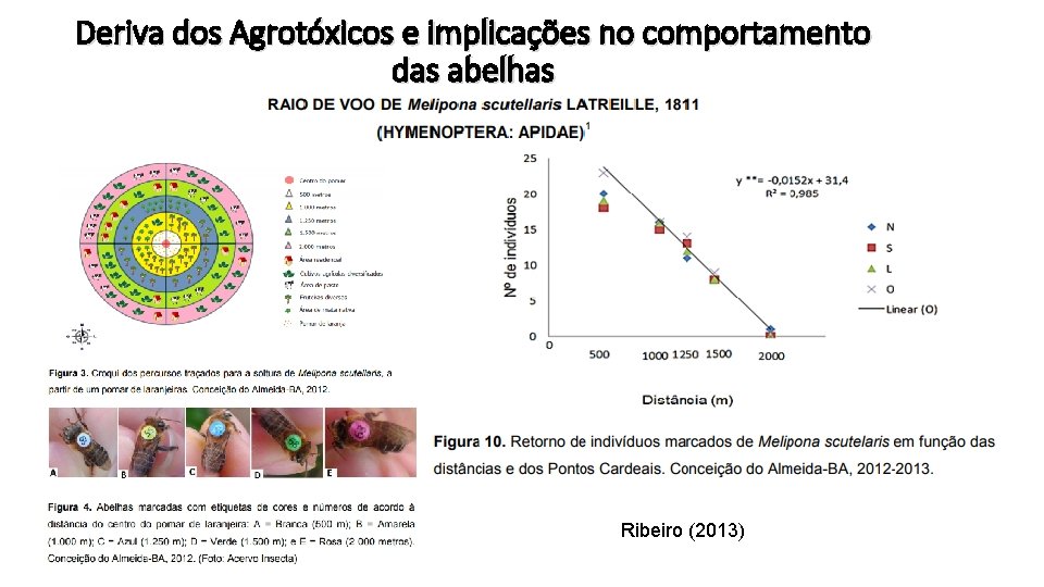 Deriva dos Agrotóxicos e implicações no comportamento das abelhas Ribeiro (2013) 