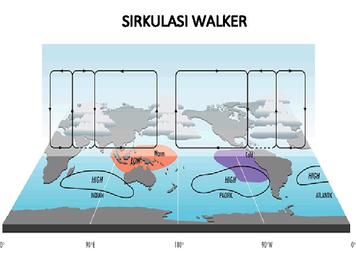 SIRKULASI WALKER 