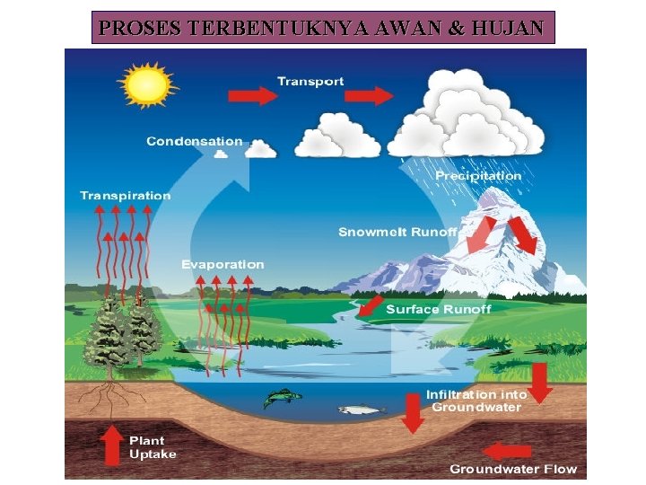 PROSES TERBENTUKNYA AWAN & HUJAN 