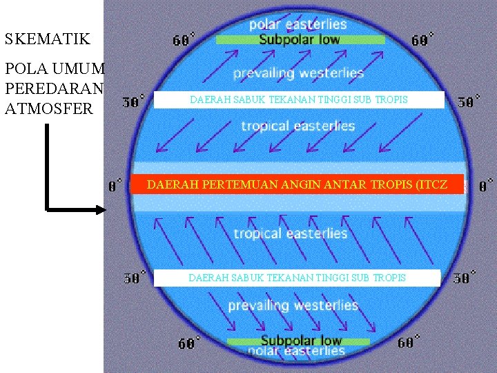 SKEMATIK POLA UMUM PEREDARAN ATMOSFER DAERAH SABUK TEKANAN TINGGI SUB TROPIS DAERAH PERTEMUAN ANGIN