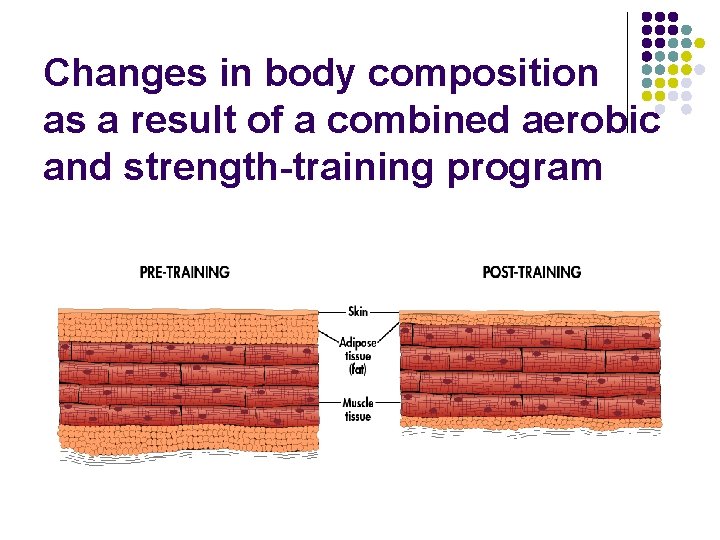 Changes in body composition as a result of a combined aerobic and strength-training program