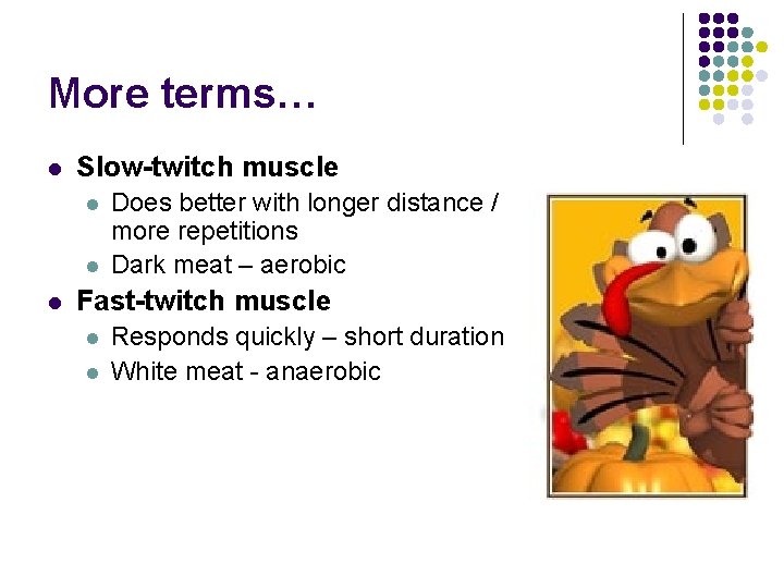 More terms… l Slow-twitch muscle l l l Does better with longer distance /