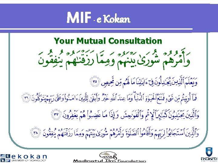 MIF e Kokan - Your Mutual Consultation 