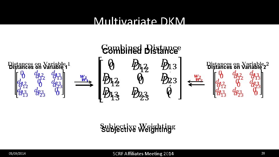 Multivariate DKM Combined Distances on Variable 1 Distances on Variable 2 Subjective Weighting 05/09/2014
