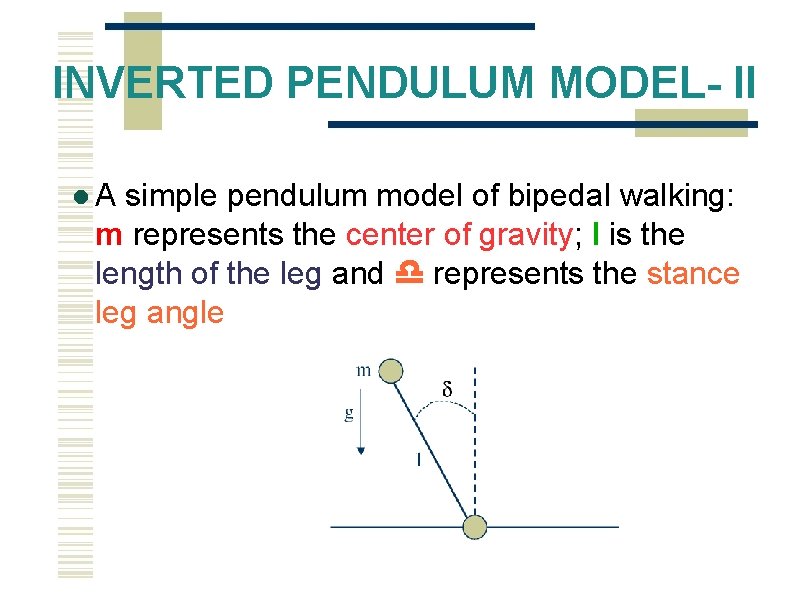 INVERTED PENDULUM MODEL- II A simple pendulum model of bipedal walking: m represents the