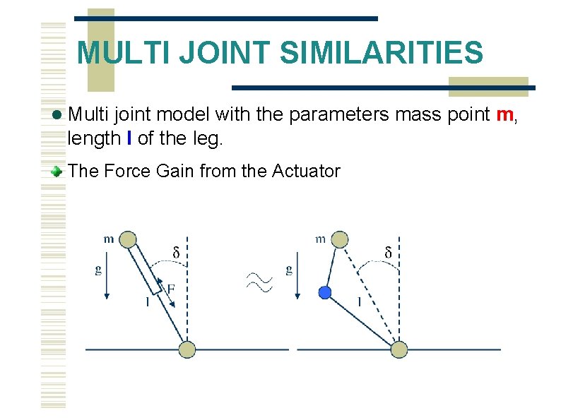 MULTI JOINT SIMILARITIES Multi joint model with the parameters mass point m, length l