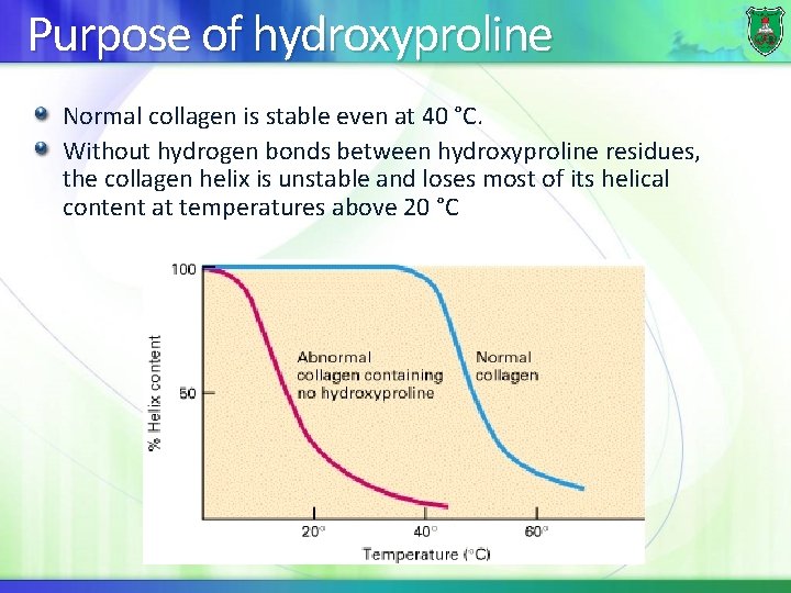 Purpose of hydroxyproline Normal collagen is stable even at 40 °C. Without hydrogen bonds