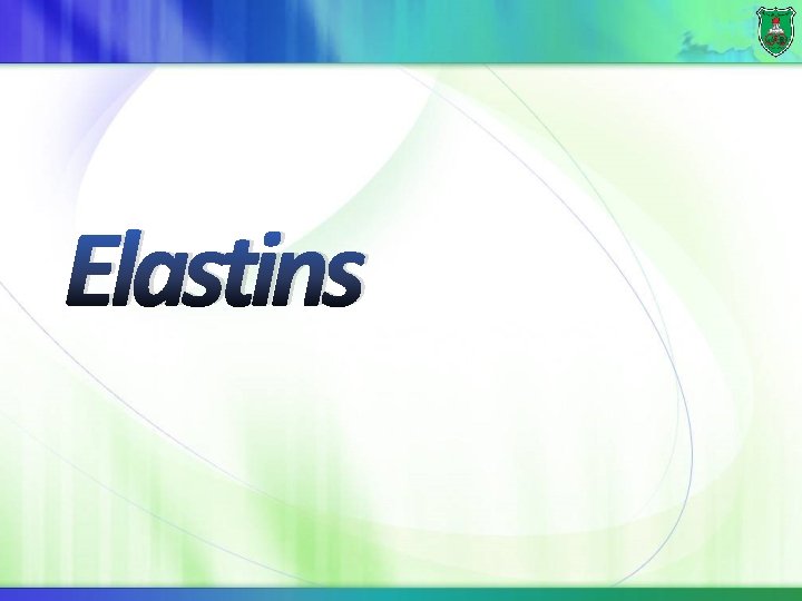 Elastins 