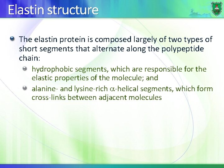 Elastin structure The elastin protein is composed largely of two types of short segments