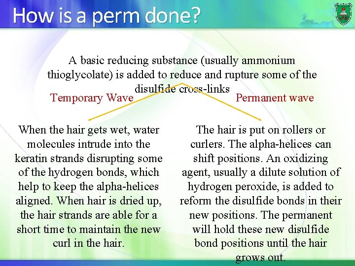 How is a perm done? A basic reducing substance (usually ammonium thioglycolate) is added