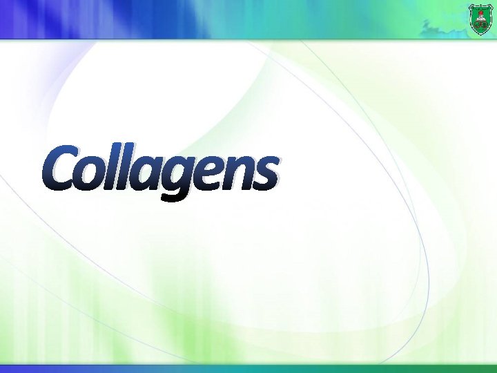 Collagens 