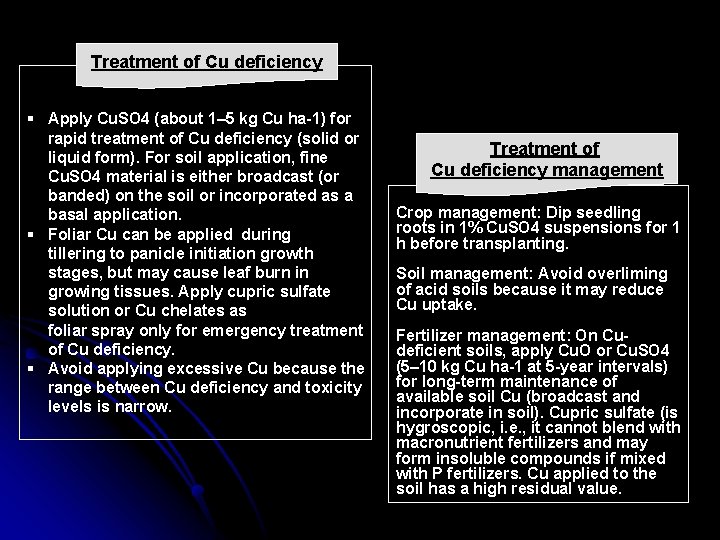 Treatment of Cu deficiency § Apply Cu. SO 4 (about 1– 5 kg Cu