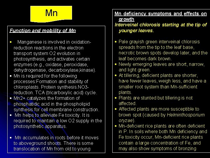 Mn Function and mobility of Mn § Manganese is involved in oxidation reduction reactions