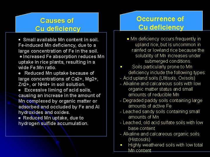 Causes of Cu deficiency § Small available Mn content in soil. Fe-induced Mn deficiency,