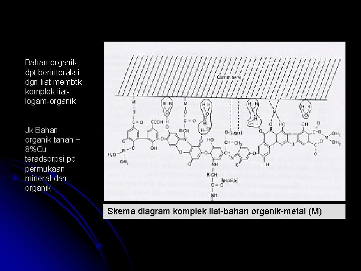 Bahan organik dpt berinteraksi dgn liat membtk komplek liatlogam-organik Jk Bahan organik tanah ~