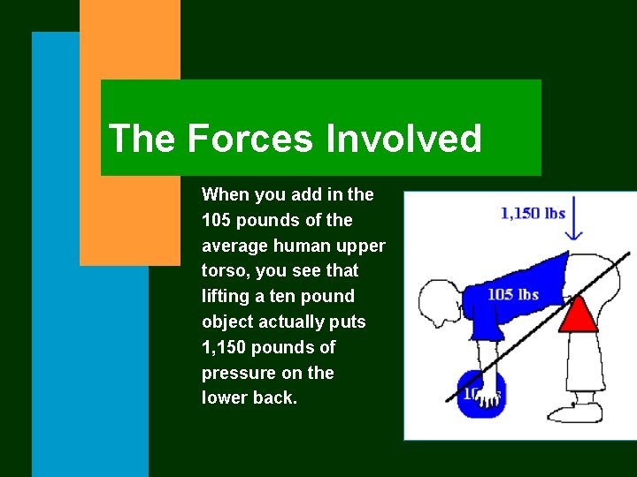 The Forces Involved When you add in the 105 pounds of the average human