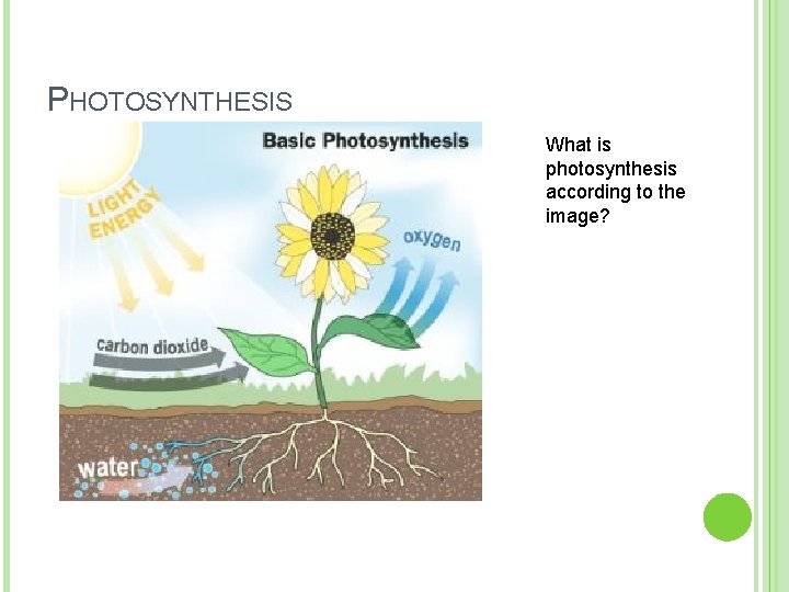 PHOTOSYNTHESIS What is photosynthesis according to the image? 