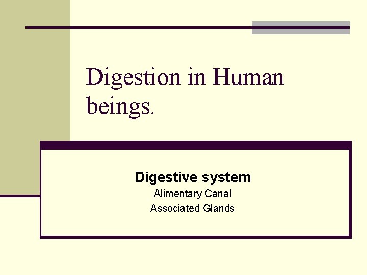 Digestion in Human beings. Digestive system Alimentary Canal Associated Glands 