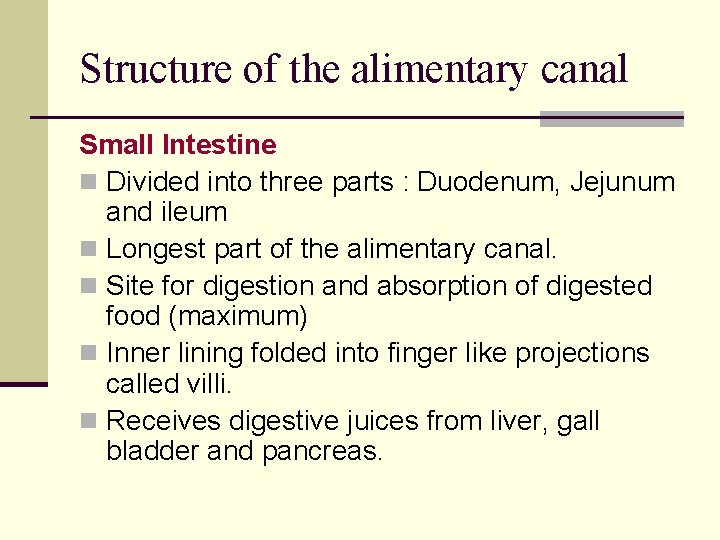 Structure of the alimentary canal Small Intestine n Divided into three parts : Duodenum,