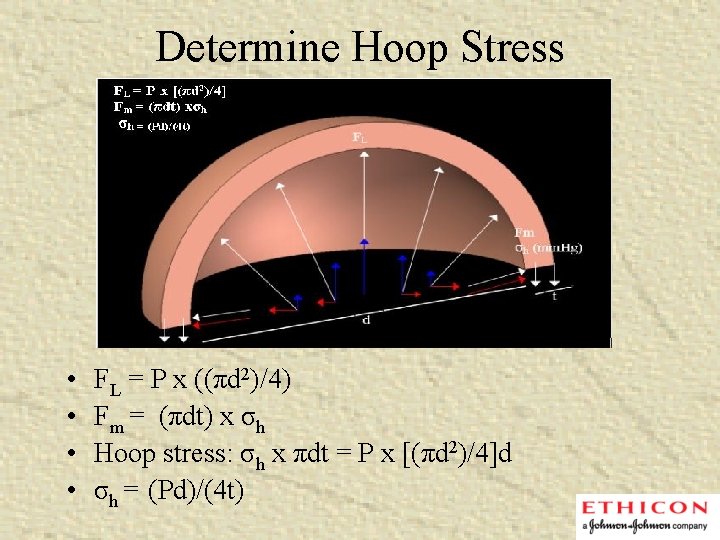 Determine Hoop Stress • • FL = P x ((πd 2)/4) Fm = (πdt)